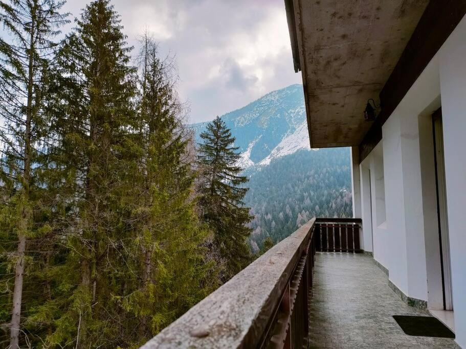 Il Terrazzo Sulle Dolomiti Appartement Cibiana Buitenkant foto