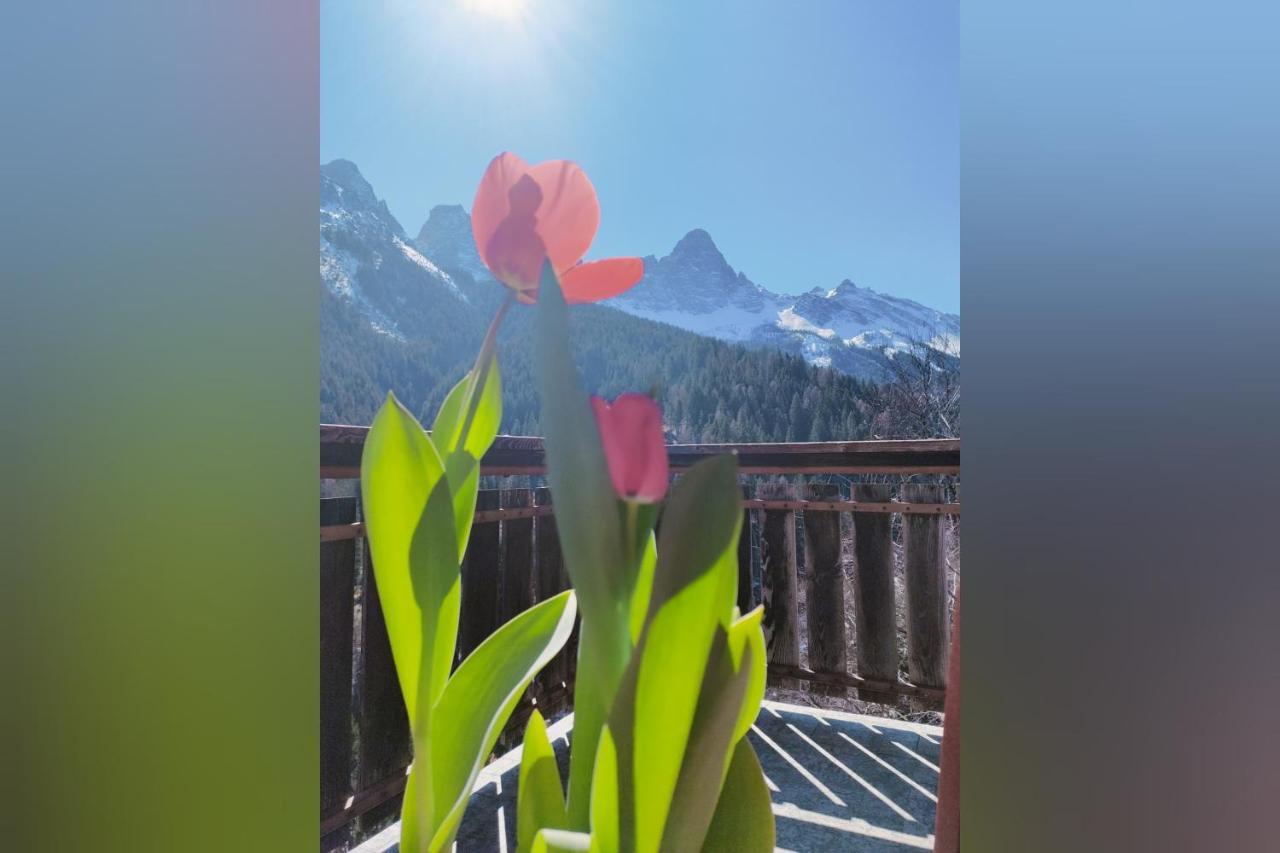 Il Terrazzo Sulle Dolomiti Appartement Cibiana Buitenkant foto