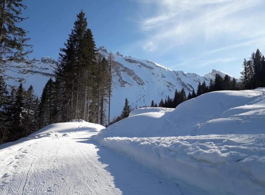 Il Terrazzo Sulle Dolomiti Appartement Cibiana Buitenkant foto