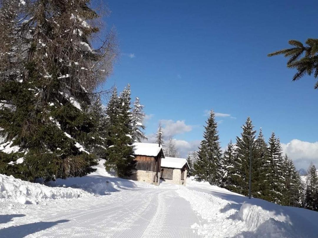 Il Terrazzo Sulle Dolomiti Appartement Cibiana Buitenkant foto