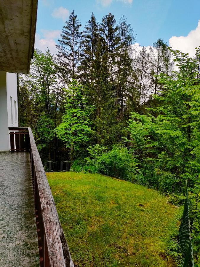 Il Terrazzo Sulle Dolomiti Appartement Cibiana Buitenkant foto