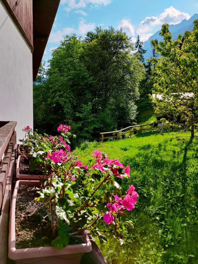 Il Terrazzo Sulle Dolomiti Appartement Cibiana Buitenkant foto