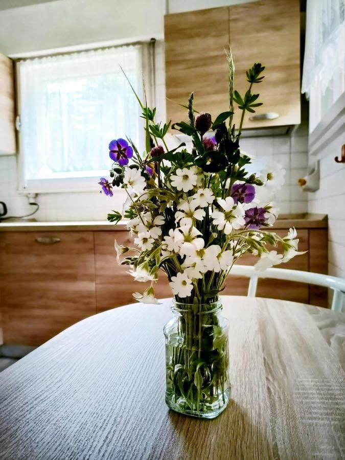 Il Terrazzo Sulle Dolomiti Appartement Cibiana Buitenkant foto